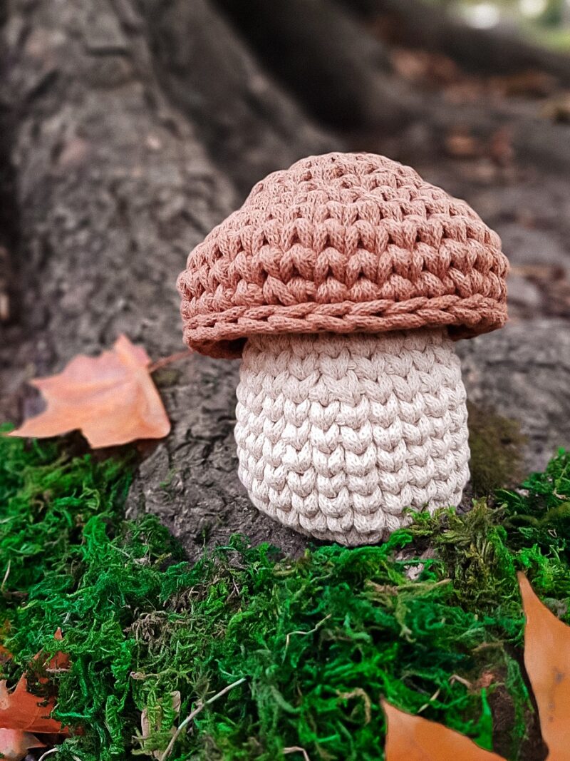 koszyk ze sznurka grzybek, dekoracja jesienna, koszyk do pokoju dziecięcego z wieczkiem, podgrzybek dekoracja koszyk ze sznurka grzybek, dekoracja jesienna, koszyk do pokoju dziecięcego z wieczkiem, grzybek z brązowym kapeluszem, dekoracja dla jesieniary, podgrzybek dekoracja