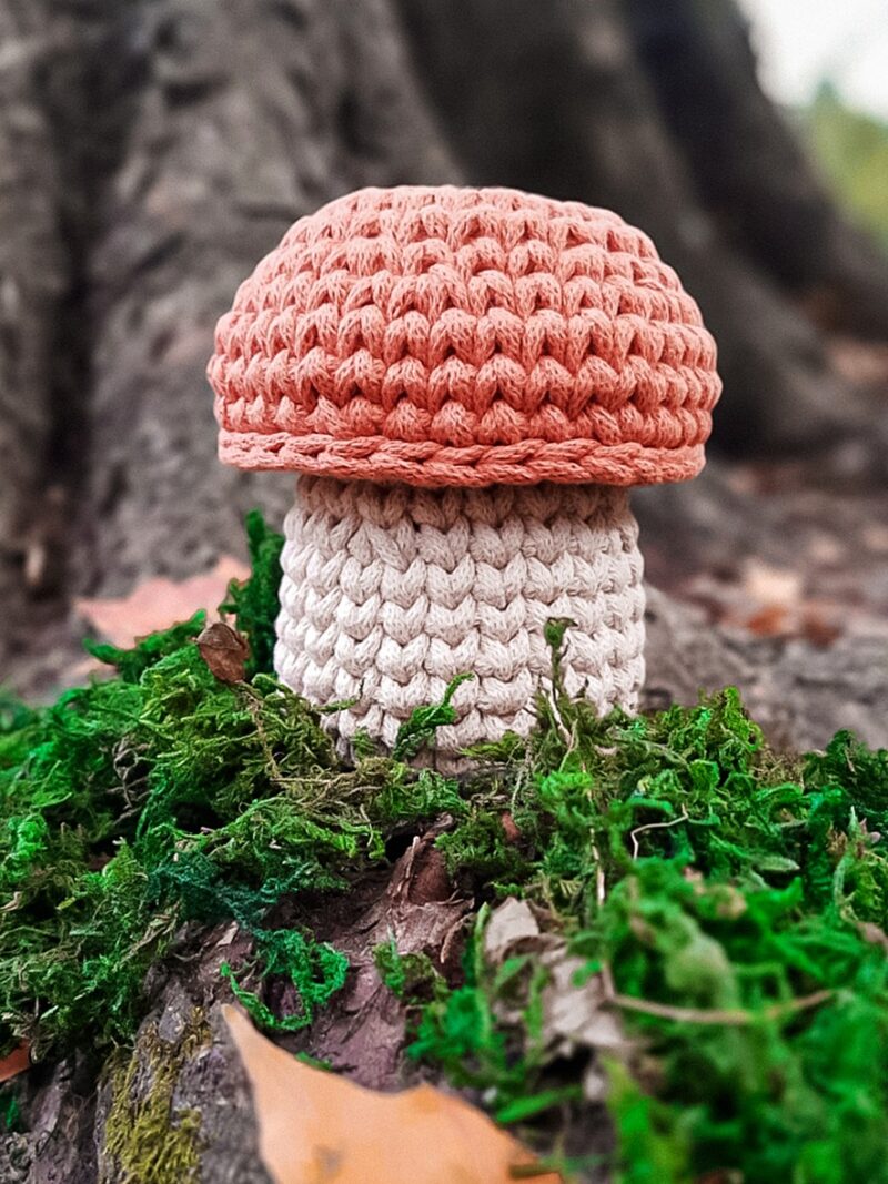 koszyk ze sznurka grzybek, dekoracja jesienna, koszyk do pokoju dziecięcego z wieczkiem, grzybek z rudym kapeluszem, dekoracja dla jesieniary