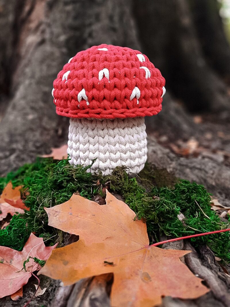 koszyk ze sznurka grzybek, dekoracja jesienna, koszyk do pokoju dziecięcego z wieczkiem, muchomor dekoracja koszyk ze sznurka grzybek, dekoracja jesienna, koszyk do pokoju dziecięcego z wieczkiem, grzybek z czerwonym kapeluszem, dekoracja dla jesieniary, muchomor dekoracja
