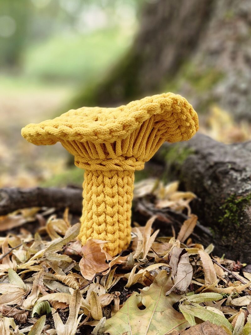grzybek na szydełku dekoracja ze sznurka na jesień, jesienna dekoracja, kurka na szydełku, żółty grzybek, rydz, kurka, grzybobranie