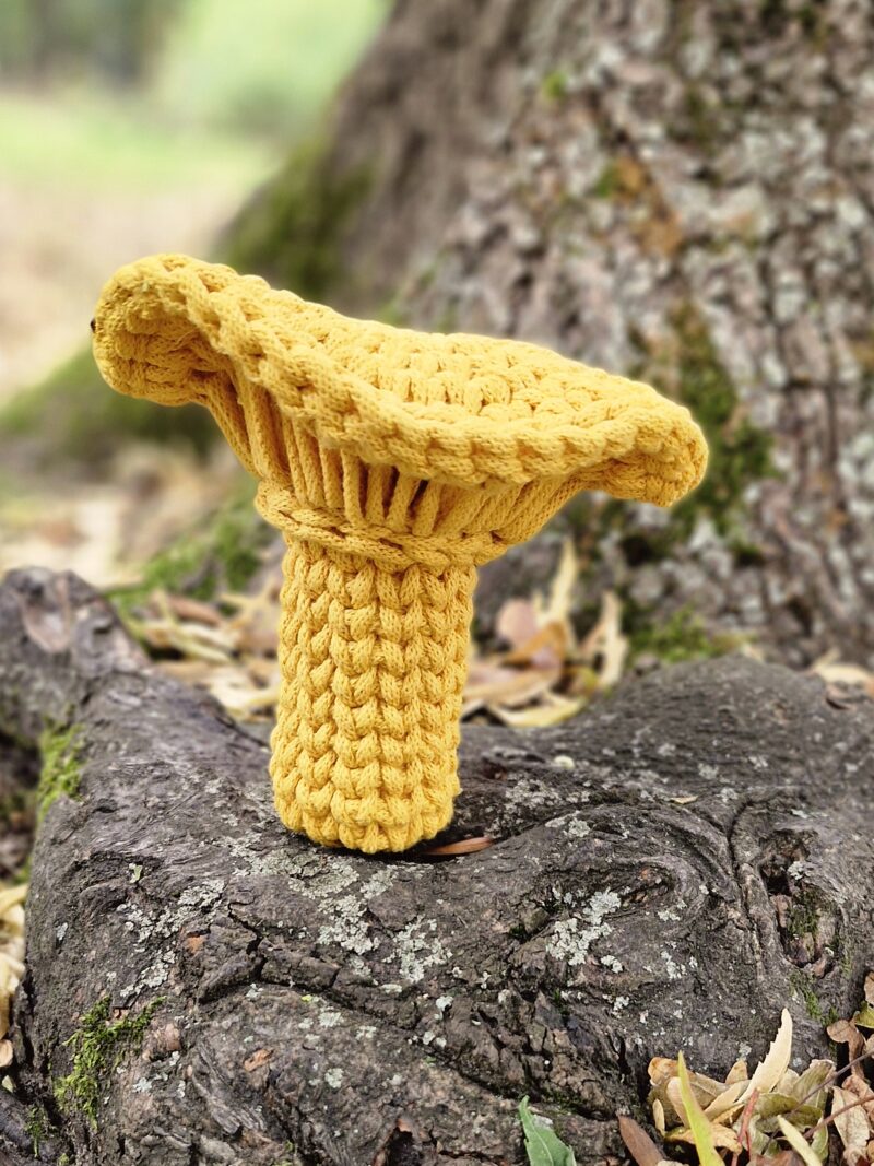 grzybek na szydełku dekoracja ze sznurka na jesień, jesienna dekoracja, kurka na szydełku grzybek na szydełku dekoracja ze sznurka na jesień, jesienna dekoracja, kurka na szydełku, żółty grzybek, rydz, kurka, grzybobranie