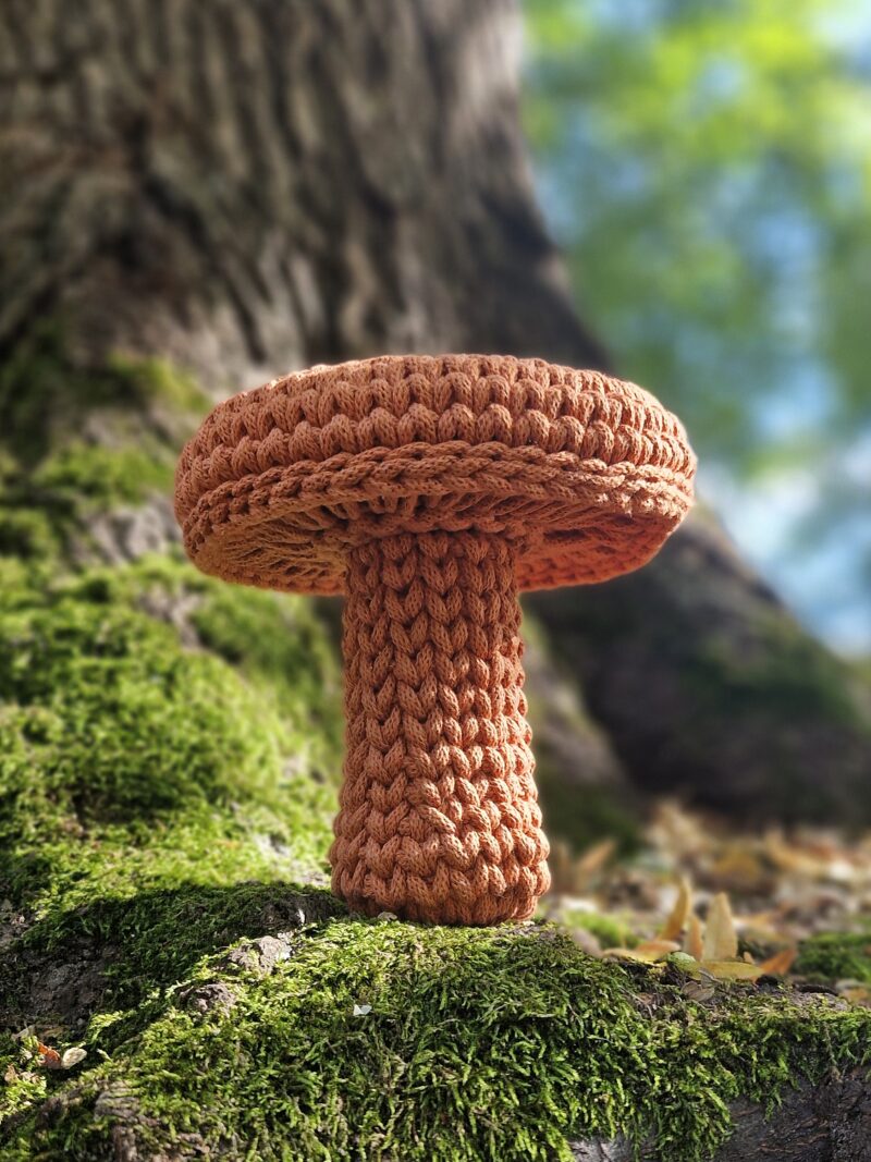 grzybek na szydełku dekoracja ze sznurka na jesień, jesienna dekoracja, rydz na szydełku grzybek na szydełku dekoracja ze sznurka na jesień, jesienna dekoracja, kurka na szydełku, rudy grzybek, rydz, kurka, grzybobranie