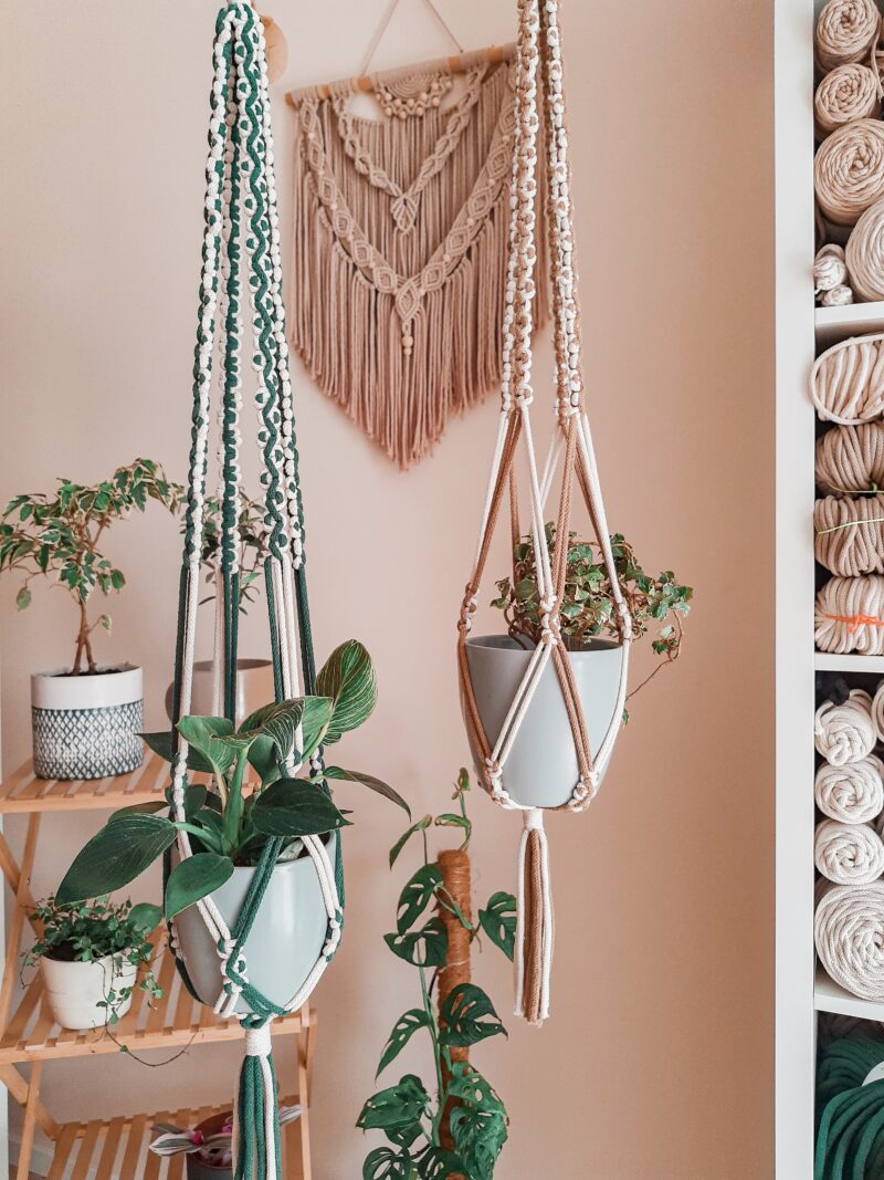 Kwietnik żmijka - wybierz kolor